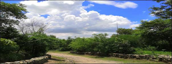 Gobardhan Eco-Park