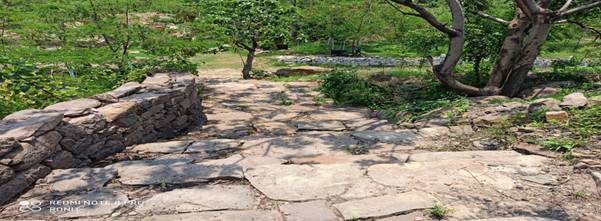 Ashok Eco-Park