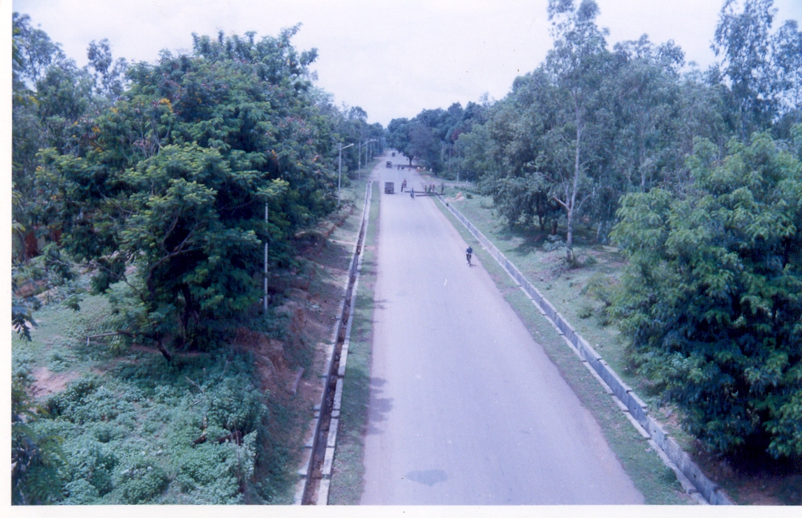Road Side Plantation – Gevra OC of SECL