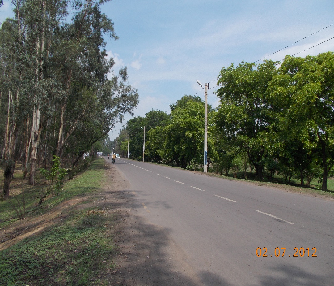 Green Belt along roads