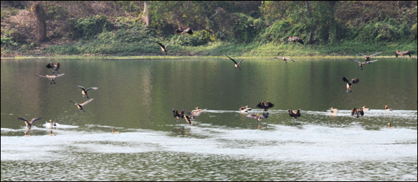 Gunjan Park of ECL – An OC mine turned into a beautiful Eco-Park with water body